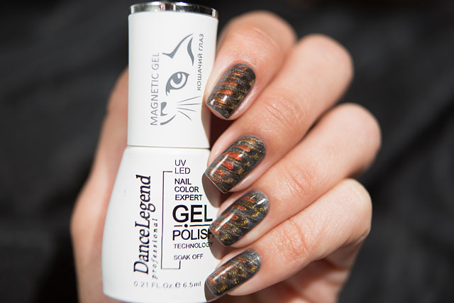 Dance Legend | Gel Polish | Magnetic Gel collection