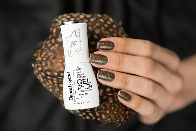 Dance Legend | Gel Polish | Magnetic Gel collection