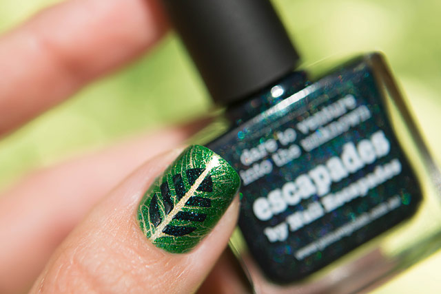 Picture Polish Escapades Hercynia