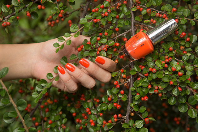 OPI ISL D39 Santa Monica Beach Peach | California Dreaming collection | Infinite Shine