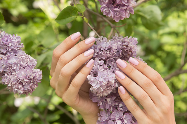 LE125 United Carnations | Dance Legend Gel Polish Pinky collection