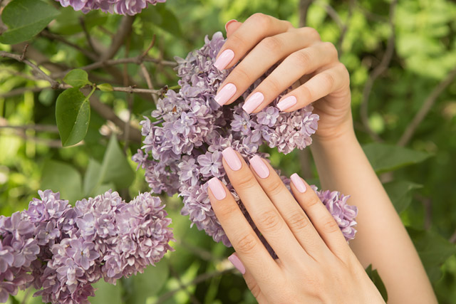 LE125 United Carnations | Dance Legend Gel Polish Pinky collection