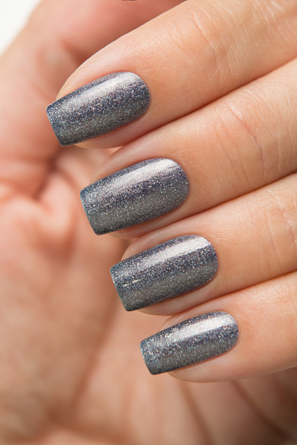 LE38 Step Holo collection