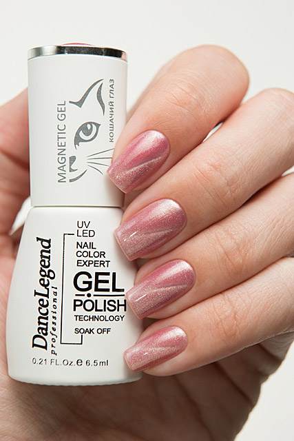 LE163 As a Jaybird | Dance Legend Gel Polish Gel Magnetic Nude collection