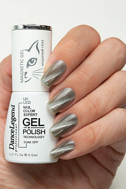 LE221 Silver | Dance Legend professional Gel Polish 